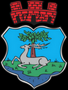 Tarocistka Ryn
